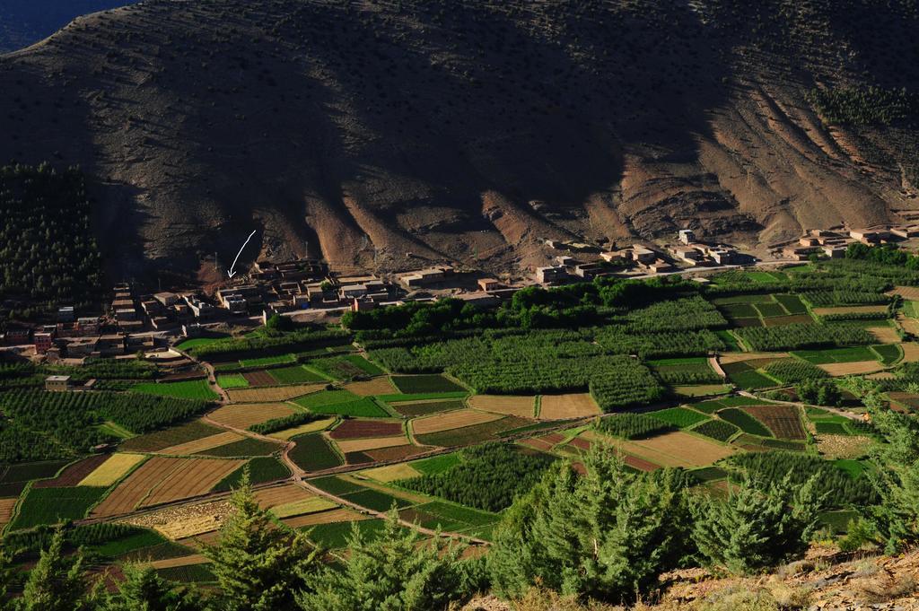 Riad La Fibule Berbere Tabant Exteriér fotografie
